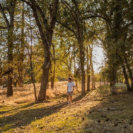 Lovers Nest By Casa Oso With Private Hiking Trails And Pond Mariposa Exteriör bild